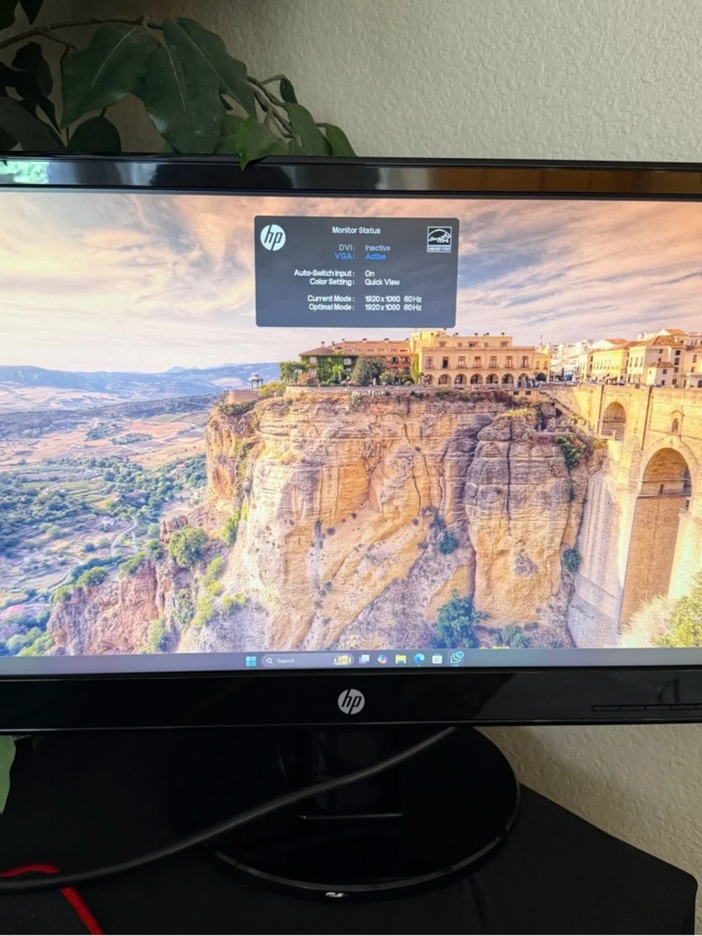 HP Black LED Computer Monitor with Glossy Stand